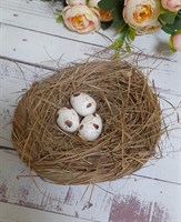Гнездо 3 яйца 12-14 см