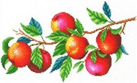Канва с рис Урожай яблок 30*40 СК-106