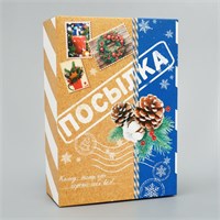 Складная коробка «Посылка», 16×23×7.5см 114527