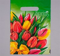 Пакет "Весна", полиэтилен с вырубной ручкой, 20х30см