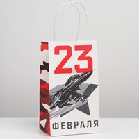Пакет крафтовый «23.02», 12×21×9см
