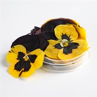 Цветы съедобные «Виола тёмно-желтая» 5шт, д/капкейков, тортов