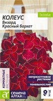 Семена Колеус визард Красный бархат 5шт Семена Алтая