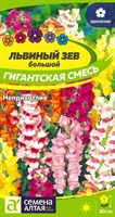 Семена Львиный зев Гигантская смесь 0,2гр Семена Алтая 117293