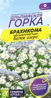 Семена Брахикома Белое озеро 0,05гр Семена Алтая 117789