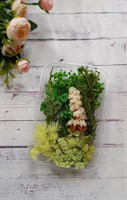 Сухоцветы д/творчества и декора "цветочки" зеленый/салатовый