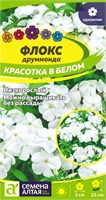 Семена Флокс Красотка в белом 0,05гр Семена Алтая 124381