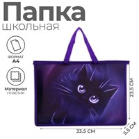 Папка с ручками А4, пластиковая, ручки-тесьма, 