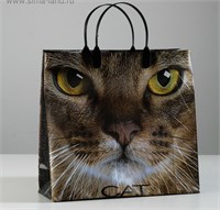 Пакет «Кэт», мягкий пластик, 30*30см, 150мкм 125748