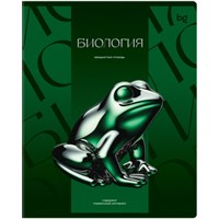 Тетрадь 48 листов в клетку BG 