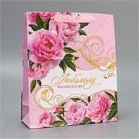 Пакет подарочный ламинированный, «Воспитателю», ML 21*25*8см 125922