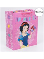 Пакет подарочный «Прекрасной принцессе», 40*49*19см, Принцессы 126312