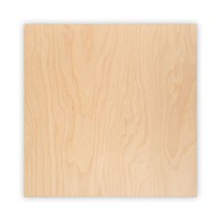 Деревянная заготовка Планшет фанера 30*30*0.4см БА-02  127170