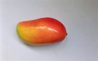 Искусственное манго в натур. величину 