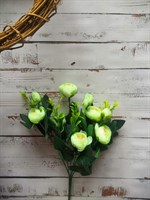 Букет цветов пионы св.салатовые мелкие 