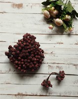 Декоративные ягоды в сахаре 11мм уп.10 пучков цв. коричневый 