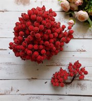 Декоративные ягоды в сахаре 11мм уп.10 пучков цв. гранатовый