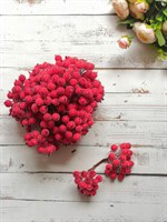 Декоративные ягоды в сахаре 11мм уп.10 пучков цв. т.розовый