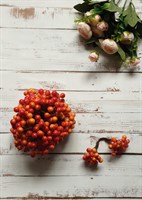 Декоративные ягоды глянцевые 11мм уп.10 пучков цв. красно-желтый