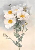 Тканая основа с рисунком 30*39см д/вышивания лентами Белые цветы 