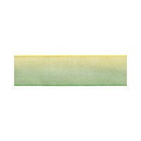 лента капрон двухцветная ORР-25 №080/015 желтый/зеленый