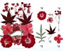 Сухоцветы д/творчества и декора "цветочки" красный микс с кленом - фото 10587