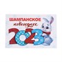 Наклейка на бутылку "Шампанское Новогоднее", 2023, 12х8 см - фото 11466