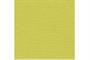 Бумага д/пастели lana colours А4 160г/м2, 21*29,7 см, цвет фисташковый, 1л  - фото 19916