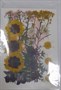 Декор Сухоцветы мини "цветочки" ассорти 10*14см, желтый розовый микс ромашки - фото 21070