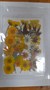 Декор Сухоцветы мини "цветочки" ассорти 10*14см, желтый микс календула - фото 21074