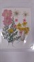 Декор Сухоцветы мини "цветочки" ассорти 10*7,5см розово- желтые микс - фото 21083