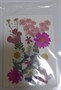 Декор Сухоцветы мини "цветочки" ассорти 10*14см, розовый микс+ папоротник - фото 21095