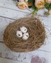 Гнездо 3 яйца 12-14 см - фото 21457