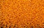 Бисер Чехия preciosa 5гр цв.81060 оранжевый радужный - фото 21748