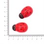 Божьи коровки 31*22мм н-р 5шт  14979