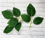 листья зеленые н-р 2шт  111881