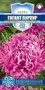 Семена Астра Гигант пурпур 0,05гр 111950 - фото 25000