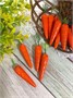 Искусственная морковь 6см н-р 4шт  5779