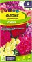 Семена Флокс Смесь 0,1гр Семена Алтая - фото 30537