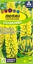 Семена Люпин Канделябр 0,3гр Семена Алтая 117672 - фото 32121