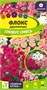 Семена Флокс Глобус Смесь 0,1гр Семена Алтая - фото 32243