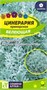 Семена Цинерария Белеющая 0,1гр Семена Алтая 117793 - фото 32262