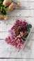 Сухоцветы д/творчества и декора "цветочки" Гипсофила с эвкалиптом - фото 32688