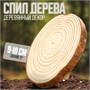 Деревянный декор «Спил Дерева» размер: от 9 до10см 27433 - фото 37122