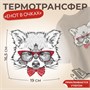 Термотрансфер Енот в очках 16,5*19см  30873 - фото 41964