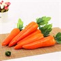 Искусственная морковь в натур. величину 18 см "простое" качество   - фото 5292