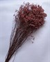 Букет сухоцветов  Гипсофила (Статица) 70 см. розовый - фото 5471