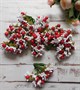 бутоньерки букет ягоды-тычинки белые с красными бусинами уп. 10шт  - фото 5579