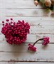 Декоративные ягоды глянцевые 8мм уп.10 пучков цв. малиновый  - фото 5607