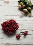 Декоративные ягоды глянцевые 11мм уп.10 пучков цв. темно-малиновый - фото 5680